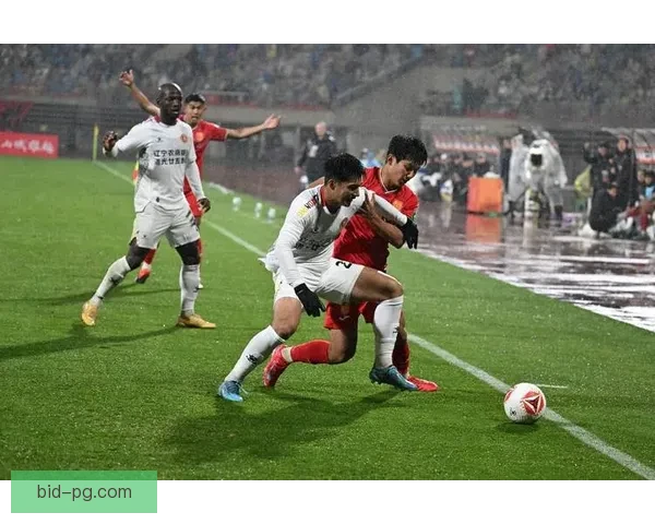 2025年夏季转会赫塔菲引进中甲潜力新星 目标未来发展